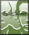 Picture for song 'Collecting Ghosts' by artist 'ZallaNayver'
