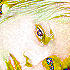 Picture for song 'Feeling Down' by artist 'Zoetrope'
