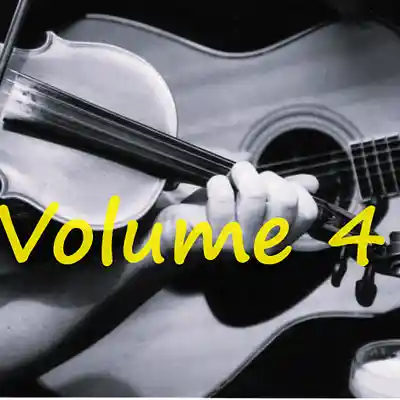 Picture for song 'The Boys Of Bluehill (Hornpipe)' by artist 'Frank Doherty Music'