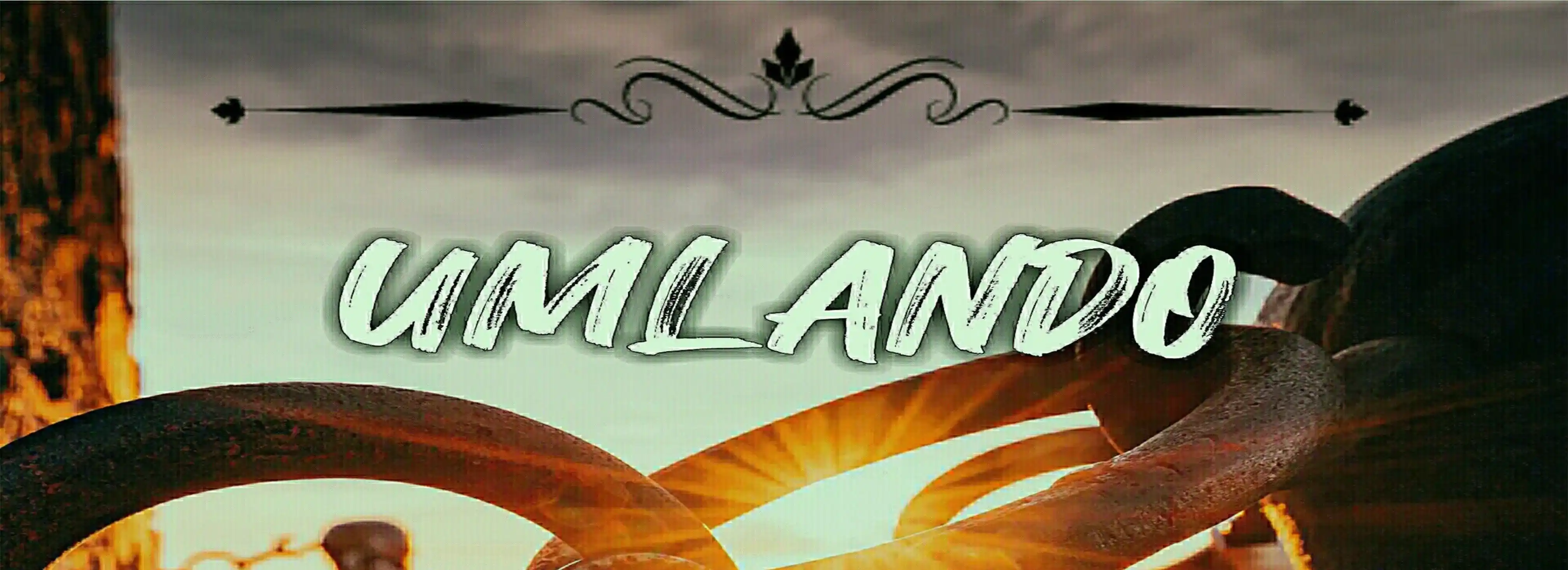 cover pic
