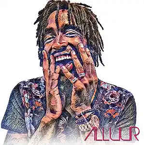 Picture for song 'Hoodanthem' by artist 'Alluur'