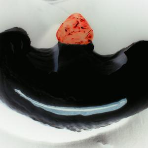 Picture for song 'Waiting In The Pond' by artist 'Mousefly'
