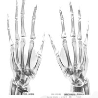 Picture for song 'Broken' by artist 'Alisha Poor'