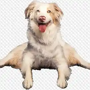 Picture for song 'New Order' by artist 'APE LITTLE BEATS'