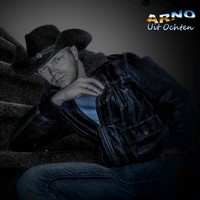 Picture for song 'wild side of life' by artist 'Arno uit Ochten'