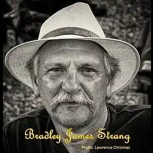 Picture for song 'CD 3 EARLY BIRD MASTERED this two' by artist 'Brad Strang'