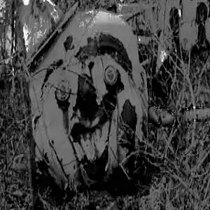 Picture for song 'Der Moot' by artist 'BaronTitor'