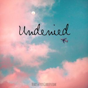 Picture for song 'Undenied' by artist 'Beats by Pixel'