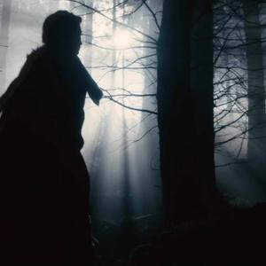 Picture for song '& Kurt Tepperwein - Das unentdeckte Land' by artist 'CITY OF ANGELS'