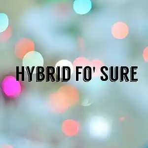 Picture for song 'Hybrid 'Fo Sure' by artist 'Dr. Berry'