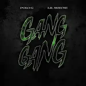 Picture for song 'Polo_G_Ft_Lil_Wayne_-_Gang_Gang' by artist 'Extra bass'