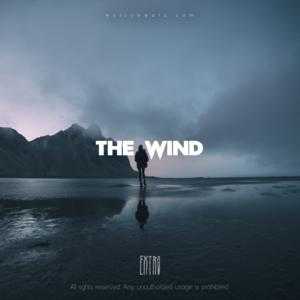 Picture for song 'The Wind R&B 130 BPM' by artist 'Extro'