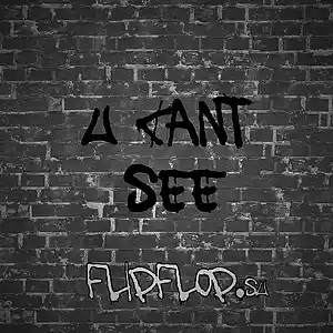 Picture for song 'u cant see' by artist 'flipflop'