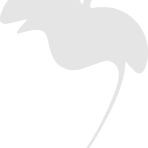 Picture for song '65 justanumber ( rap instrumental )' by artist 'Gino Benz'