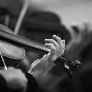 Picture for song 'Orchestral Dark Type Beat' by artist 'Hallow Beats'