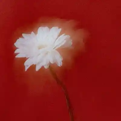 Picture for song 'IDOLS' by artist 'Hido'