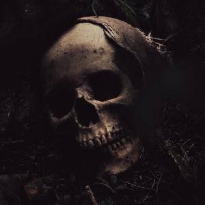 Picture for song 'Oldie poetry' by artist 'Laze Mz'