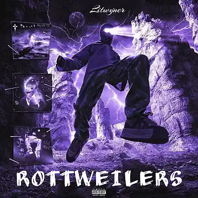 Picture for song 'Lit Wyner - ROTTLWEILERS (TYPE BEAT)' by artist 'Lit Wyner'