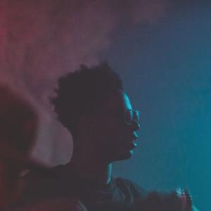 Picture for song 'Lurking (Joey Bada$$ x Freddie Gibbs Type Beat)' by artist 'Luke White On The Beat'