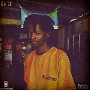 Picture for song 'R.N.T.F' by artist 'Meja Leesome'