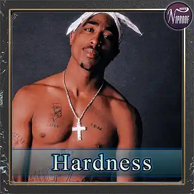 Picture for song 'Eminem x Tupac Type Beat Hardness' by artist 'N1PROOF BEATS'