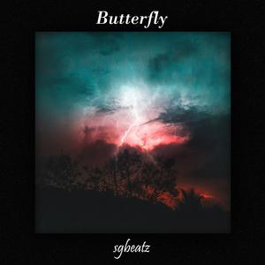 Picture for song 'Butterfly - Melodic Trap x Juice WRLD Type Beat 20' by artist 'SG Beatz'