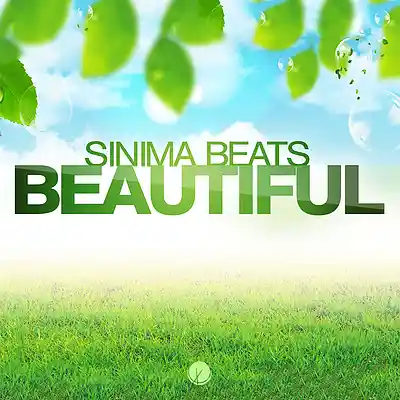 Picture for song 'Beautiful' by artist 'SINIMA BEATS'