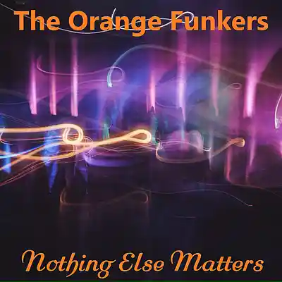Picture for song 'Nothing Else Matters' by artist 'The Orange Funkers'
