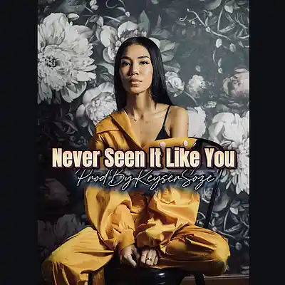 Picture for song '[FREE]Never Seen it Like You x Jhene Aiko ProdByKe' by artist 'TheRealKeyserSoze'