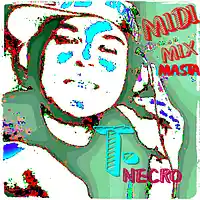 Picture for song 'MidiMixMasta' by artist 'Turtle Necromancer'