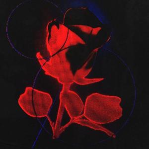 Picture for song 'Apodysophilia' by artist 'VicTheMonster'