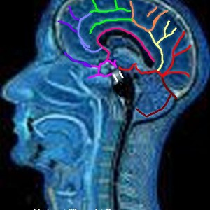 Picture for song '08 - Your Touch' by artist 'Acid Roundtrip'