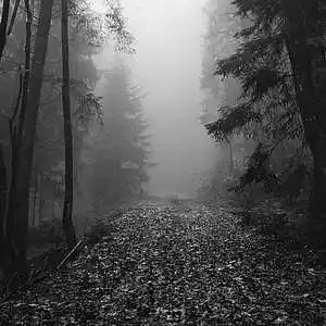 Picture for song '1409 beats - Trail' by artist '1409beats'