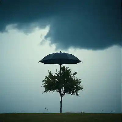 Song picture
