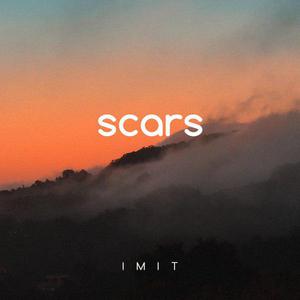 Picture for song 'IMIT - Scars' by artist 'IMIT'