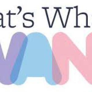 Picture for song 'That's What I Want' by artist 'Lee Boos Project'
