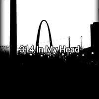 Picture for song '314 In My Head ' by artist 'MOE U DID IT AGAIN'