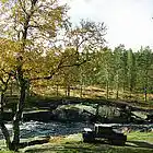 Picture for song 'In The Fall' by artist 'Nils-Ole Finbak'