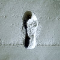 Picture for song 'step' by artist 'roughcopies'