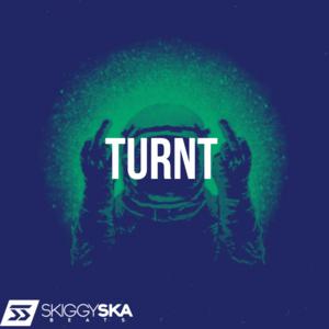 Picture for song 'Turnt' by artist 'Skiggy Ska'