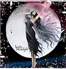 Picture for song 'Moonlight Lady' by artist 'The Jay Dyall Project'