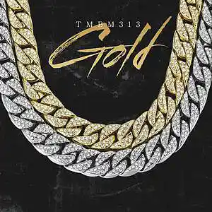 Picture for song 'Gold' by artist 'TMBM313'