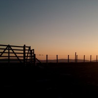 Picture for song 'Sunset Scene' by artist 'White Lotus Productions (WLP)'