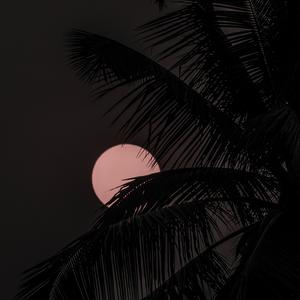 Picture for song '"Fxck that" Beat for Sale' by artist 'whoDeanyBeatz'