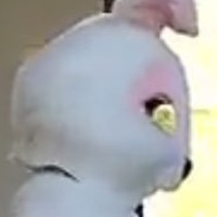 Picture for song 'cant hold master' by artist 'wilsonsbedsheets'