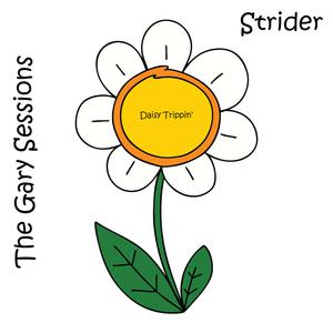 Picture for song 'Strider-TheGarrySessions-1-GarryIsBlastingInMyEars' by artist 'StriderMusic'