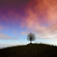 Picture for song 'Quarantine (ft J. Schnitzpan of ForTiorI)' by artist 'Atrium (Instrumental)'