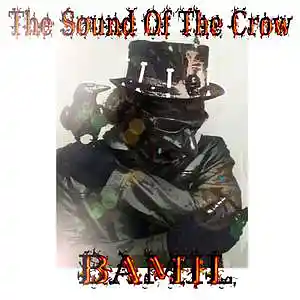 Picture for song 'The Sound Of The Crow' by artist 'BAMIL'