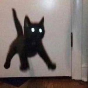 Picture for song 'Cat Electro Melody Trap Type Beat - purple' by artist 'endelly prod.'
