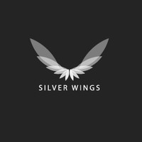 Picture for song 'Silver Wings - The YouTube Two' by artist 'fogle622'